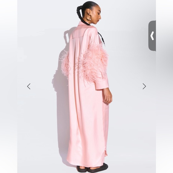 Lapointe Elegant Pink Feather-Trimmed gown - Picture 5 of 5